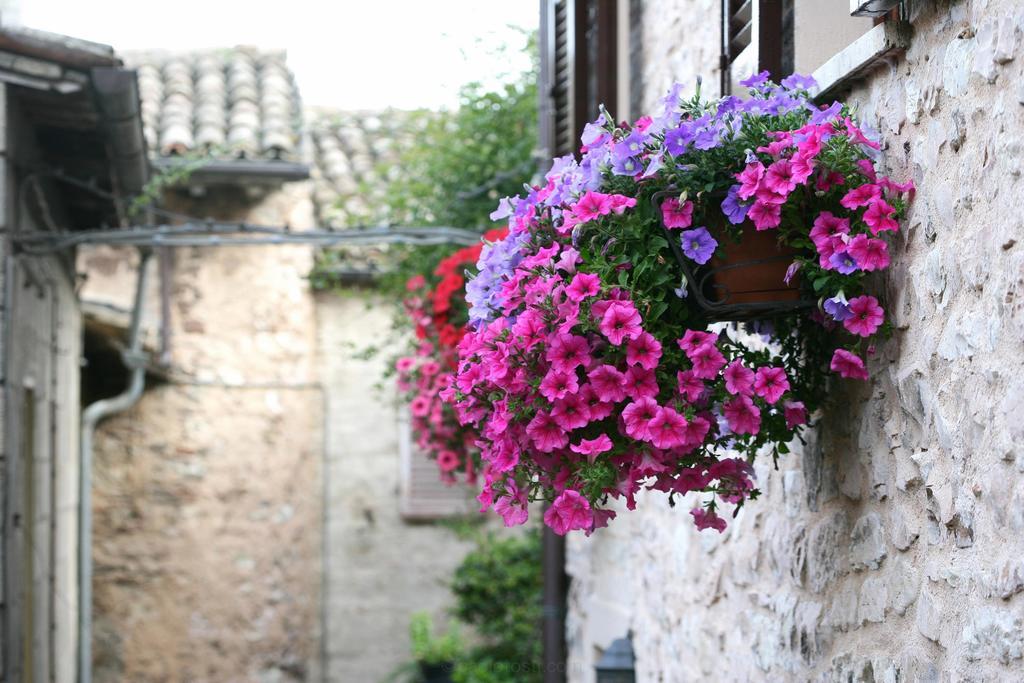 Hotel Palazzo Brunamonti Bevagna Exterior foto