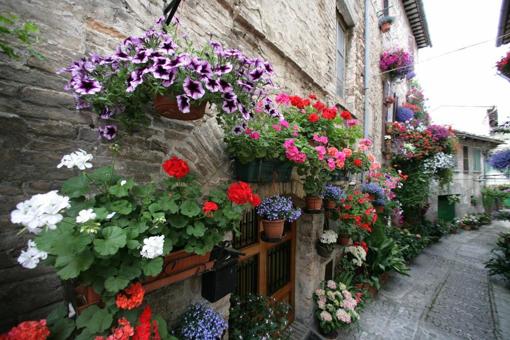 Hotel Palazzo Brunamonti Bevagna Exterior foto